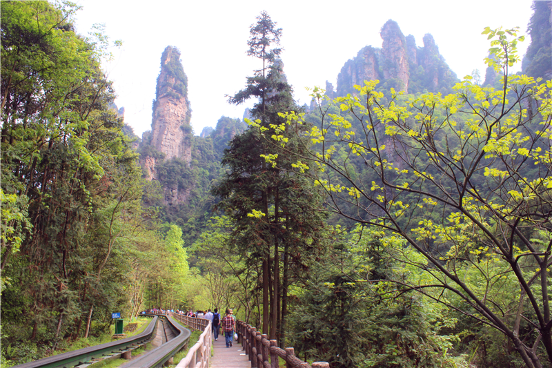 IMG_4068.jpg IMG_4068.jpg